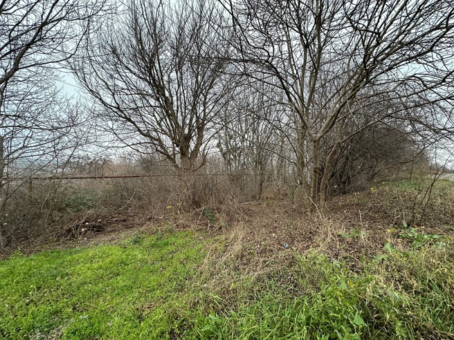 Пустырь, где стоял дом Баранова | Источник: Габриелла Захарова / 26.RU