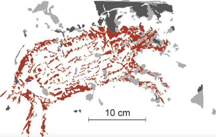Изменение климата ускорило разрушение древнейших образцов наскальной живописи
