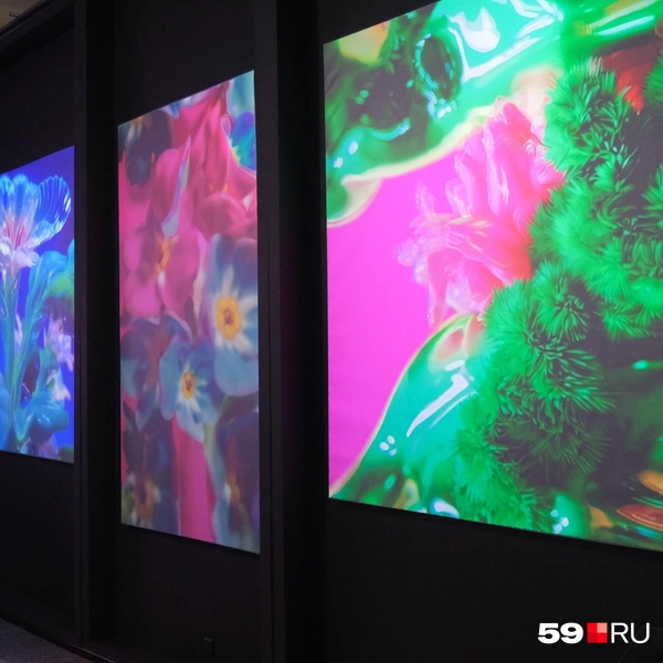 Здесь много темы природы  | Источник: Тимофей Калмаков / 59.RU