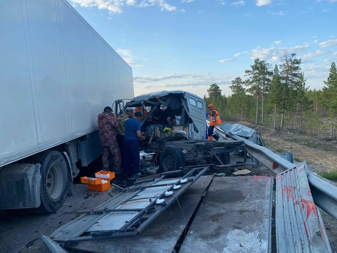 Вид вблизи | Источник: Госавтоинспекция Мегино / T.me