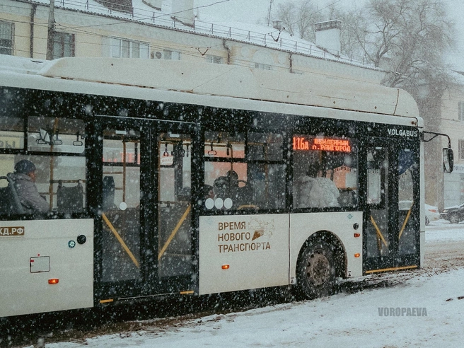 На снимках видны впечатляющие по размеру снежные хлопья. | Источник: Юлия Воропаева