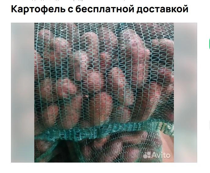 Источник: Avito.ru