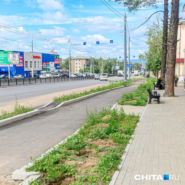 Источник: Олег Фёдоров / CHITA.RU
