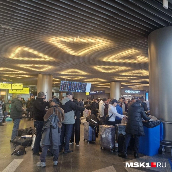 Источник: Софья Рябикина / MSK1.RU