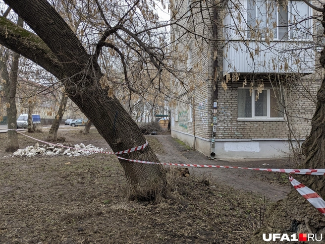 Огородили кучку снега | Источник: Булат Салихов / UFA1.RU
