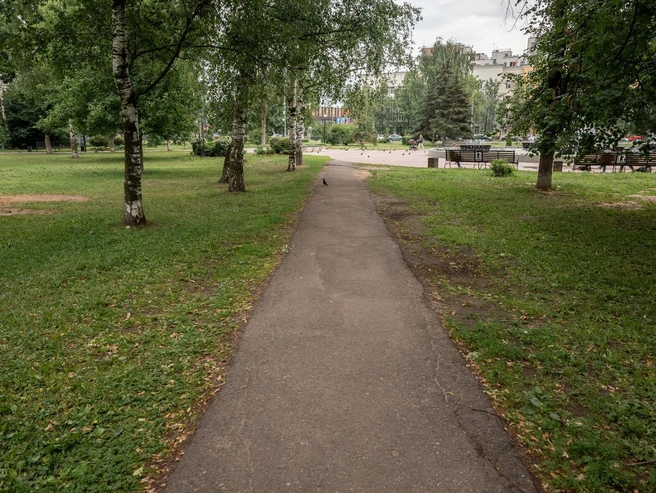 Дорожка от центра парка ведёт к спортивной площадке | Источник: Александр Куренной / 76.RU