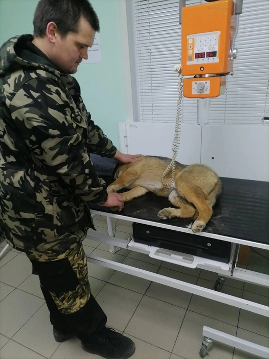 Источник: Зоощит / Vk.com