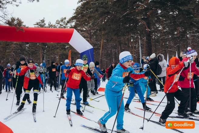 Источник: Goodline 