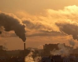 В 2014 году горожане прожили под «черным небом» больше месяца | ngs24.ru