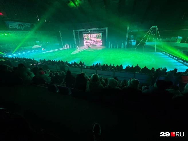 Источник: Валерия Богатырёва / 29.RU 
