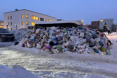 В Москве из-за морозов возник мусорный коллапс