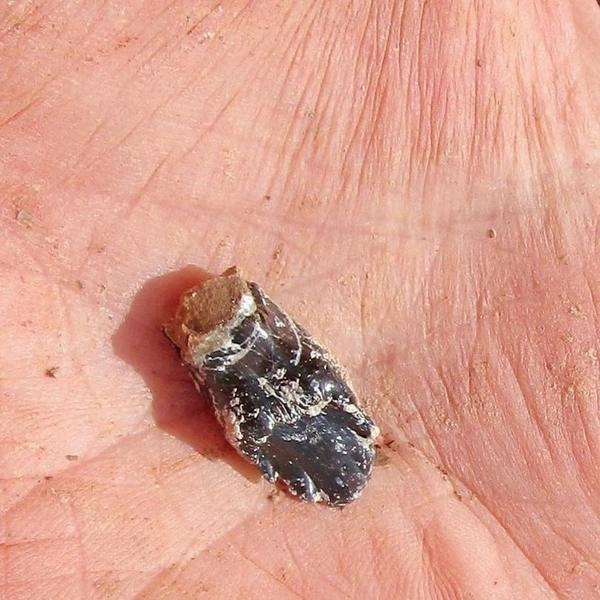 Источник: Ю. Сучкова, Нижегородский музей-заповедник / Vk.com