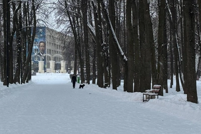 ‘Did We Manage?’ Governor Walks in Snow, Sees No Cleanup Issues