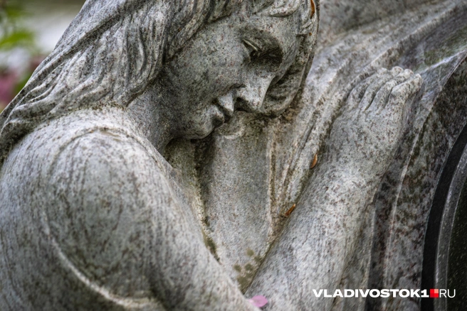 Источник: Елена Буйвол / VLADIVOSTOK1.RU