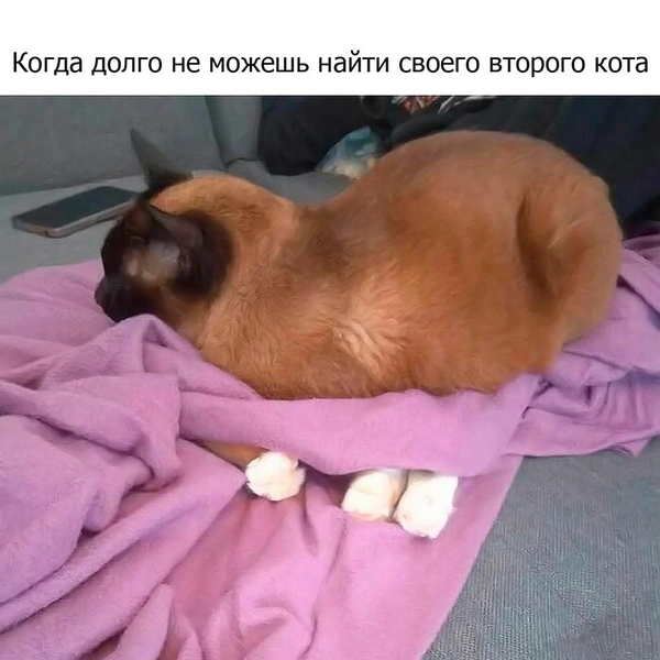Источник: соцсети