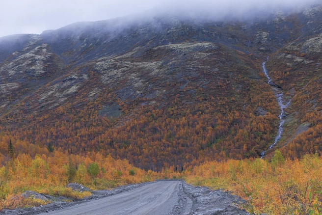 Источник: Елена Орлова