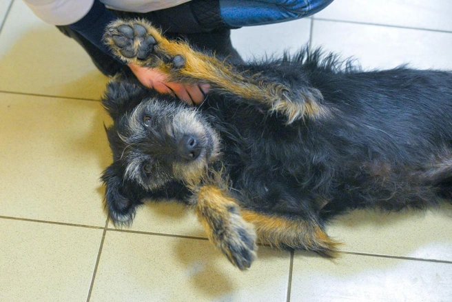 Сегодня у всех рабочий день | Источник: Артем Устюжанин / E1.RU