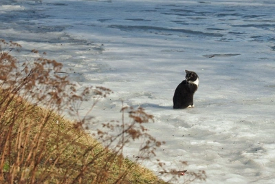 Синоптик Петербурга: погода испортится после солнечного дня
