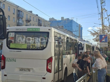 Источник: Алёна Воропаева / Voronezh1.ru