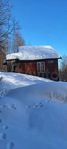 Источник: avito.ru