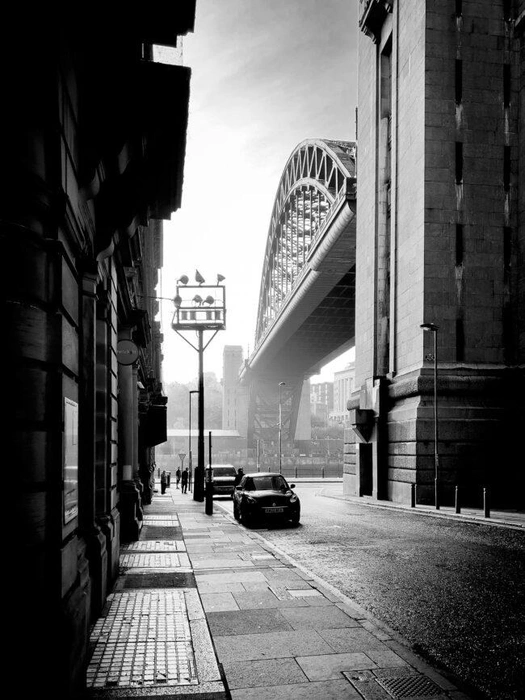 Источник: Adrian Beasley / Ippawards.com