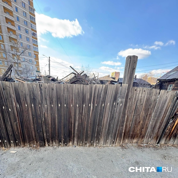 Источник: Евгения Петина / CHITA.RU
