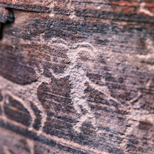 Источник: Sergey Filinin via Shutterstock/Fotodom.ru