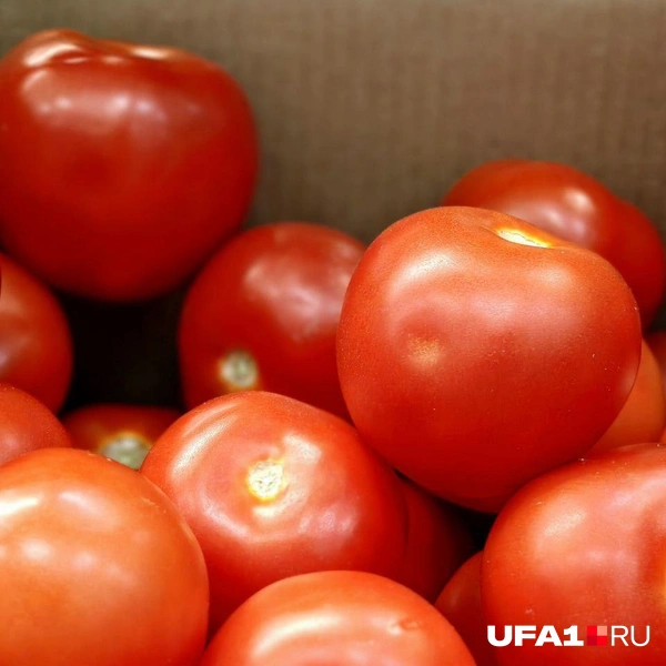 Источник: Булат Салихов / UFA1.RU
