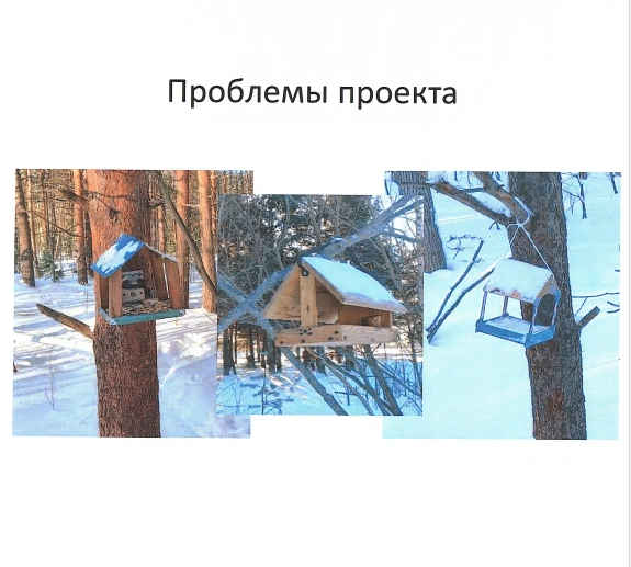 Выглядят кормушки для белок в парке «За Саймой» сейчас вот так | Источник: администрация Сургута