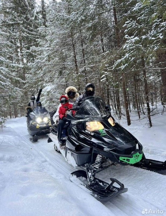 На снегоходе можно прокатиться всей семьей | Источник: Avito.ru