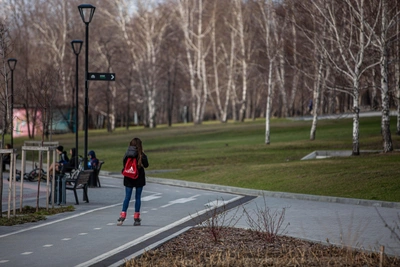 Новосибирцы выбирают парки для благоустройства