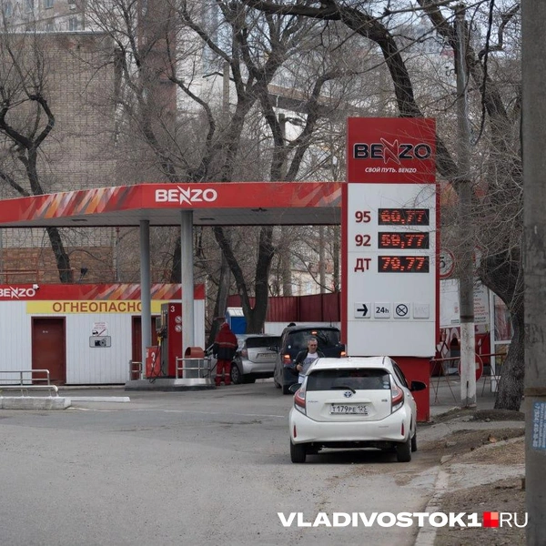 Benzo | Источник: Елена Буйвол / VLADIVOSTOK1.RU
