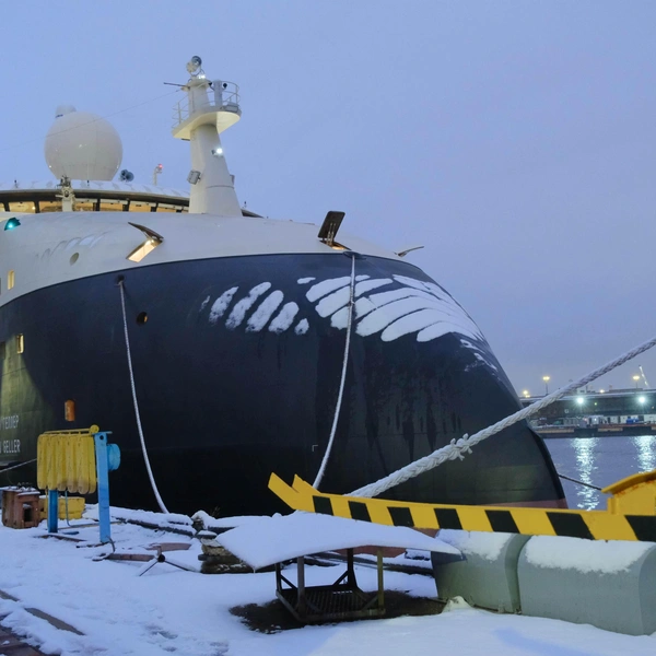 Источник: пресс-служба «Северная верфь»