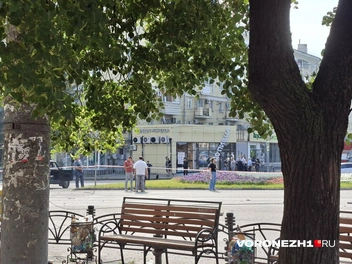 Источник: Алёна Воропаева / Voronezh1.ru