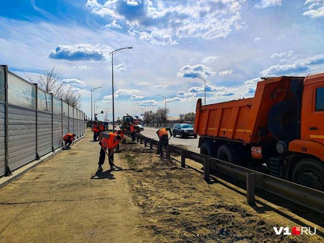 Источник: Дмитрий Доценков / V1.RU