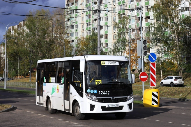 На маршрут вышли 20 новых автобусов среднего класса | Источник: управление транспорта Воронежа / T.me
