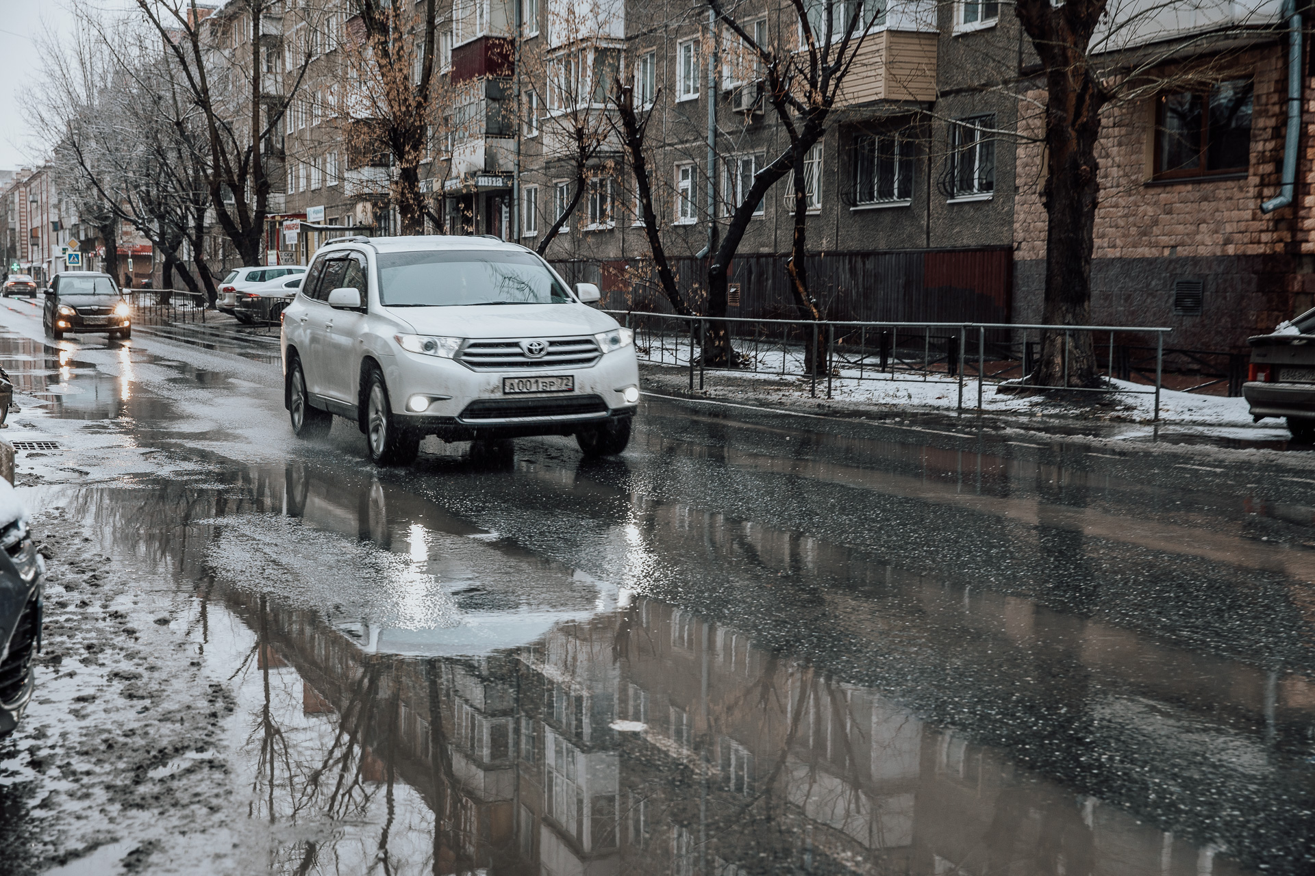 Волна тепла. Какая погода будет в ближайшие дни в Алтайском крае — прогноз