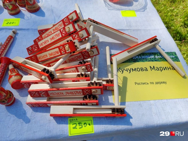 Источник: Елена Ионайтис / 29.RU