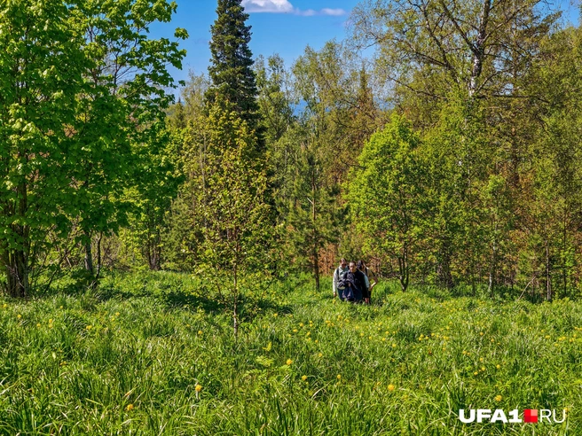 Тропа ведет сквозь лес и чащу | Источник: Булат Салихов / UFA1.RU