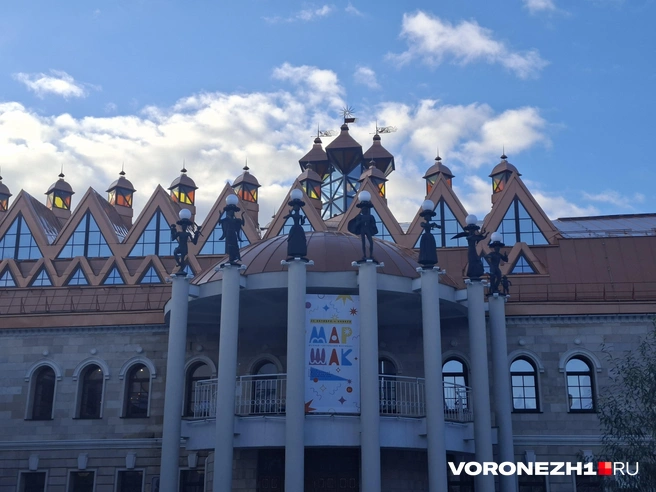 Спустя столетие именем Маршака назовут один из немногих исключительно детских театральных фестивалей в стране | Источник: Алена Воропаева / Voronezh1.ru