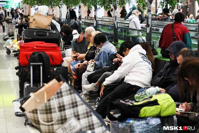 За помощью можно обратиться в авиакомпанию или Роспотребнадзор | Источник: Артем Устюжанин / MSK1.RU