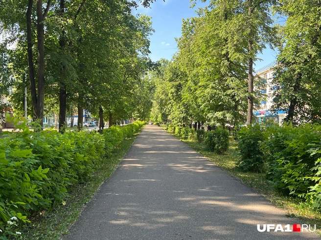 Проспект Ленина | Источник: Андрей Бирюков / UFA1.RU