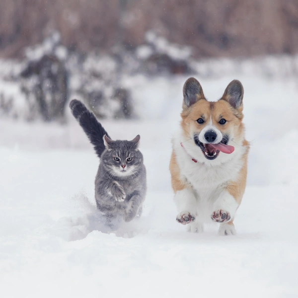 Источник: Shutterstock/Fotodom.ru