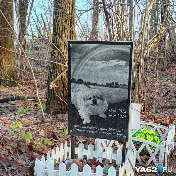 Источник: Анастасия Фокина / YA62.RU