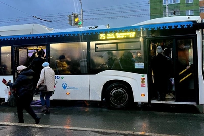 Уфимцы спорят о доступности покупки авто