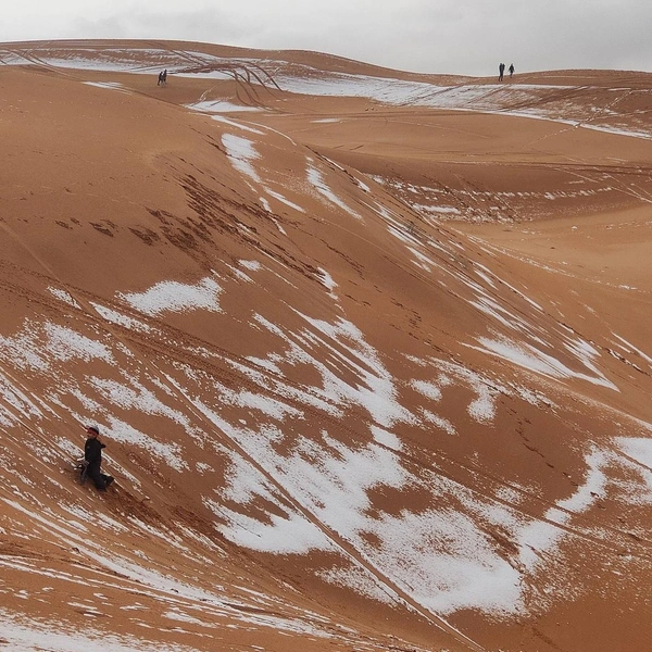 Источник: Karim Bouchetata