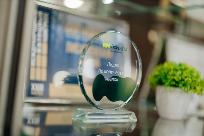 Источник: Ксения Зимина