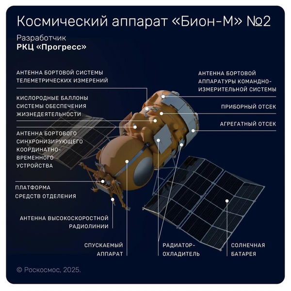 Источник: Роскосмос