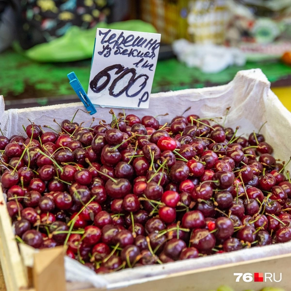 Стоимость ягод от 600 до 1200 рублей | Источник: Кирилл Поверинов / 76.RU
