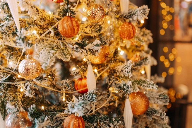 В «Домне» уже царит новогодняя атмосфера | Источник: СОФПП